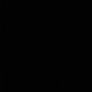 Meet your Posher, Audrey